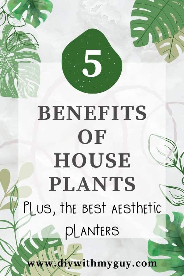 5 benefits of plants