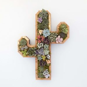 Succulent Cactus Planter