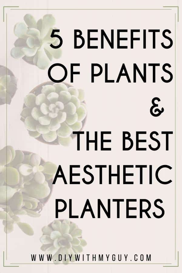 benefits of plants