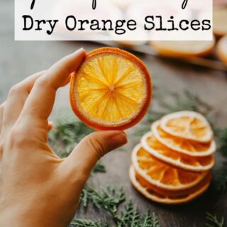 How to dry orange slices in the oven