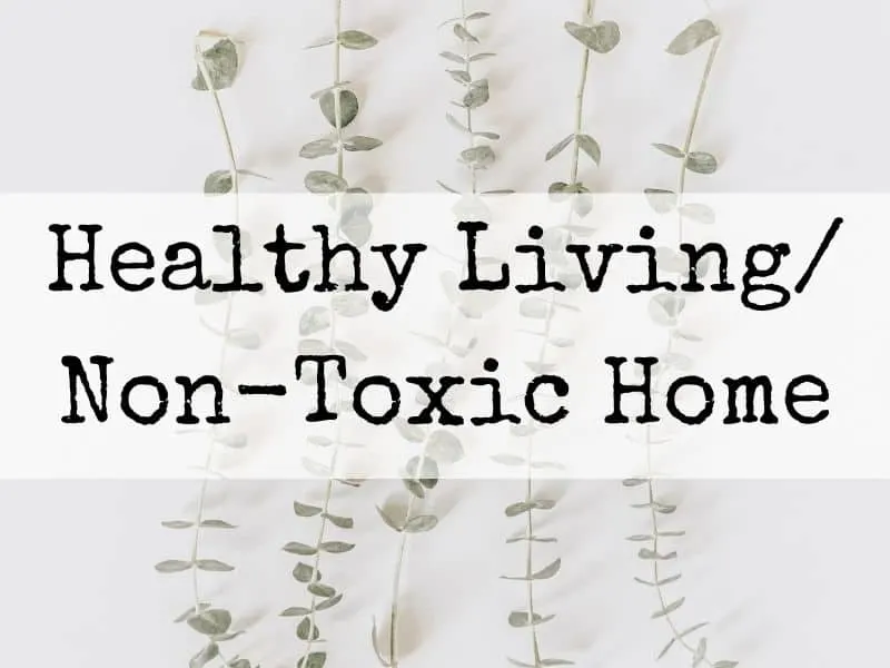 Non toxic home