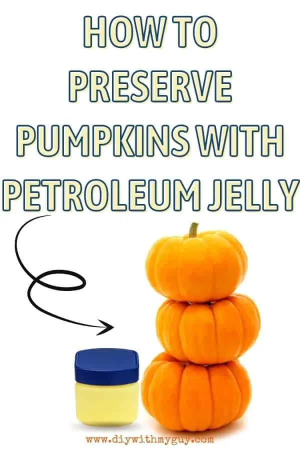 How Preserve A Pumpkin