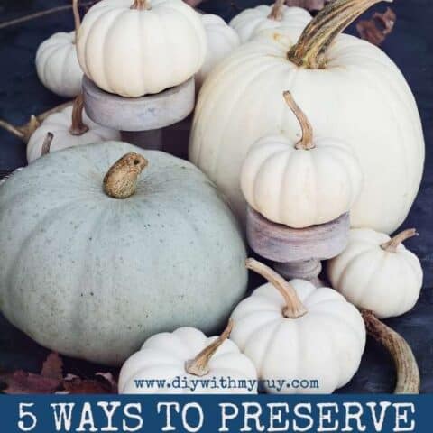 How To Preserve A Carved Pumpkin To Make A Jack O Lantern Last Longer