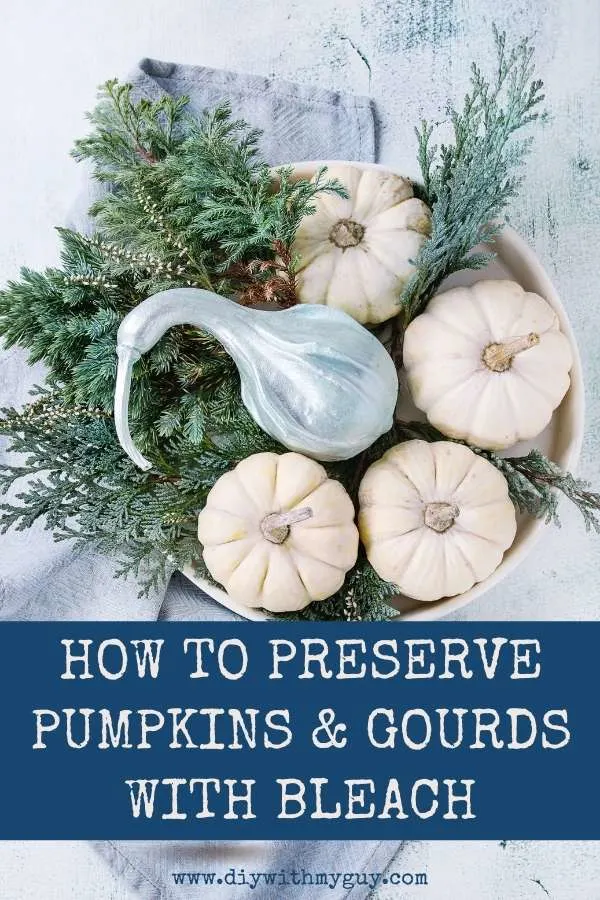 How To Preserve Pumpkins