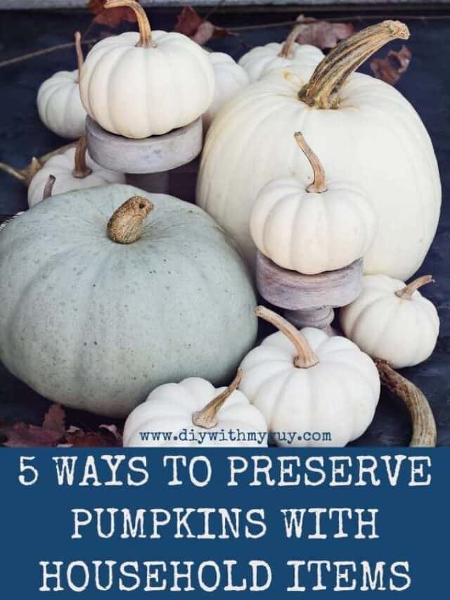Preserve Pumpkins & Gourds With Household Items