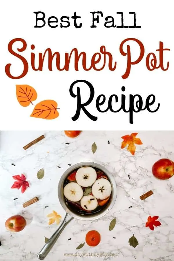 Fall Simmer Pot Recipe - Make Your House Smell Like Fall - DIY With My Guy