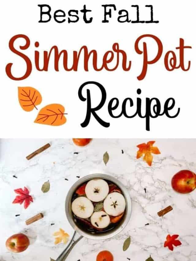 Fall Simmer Pot Recipe