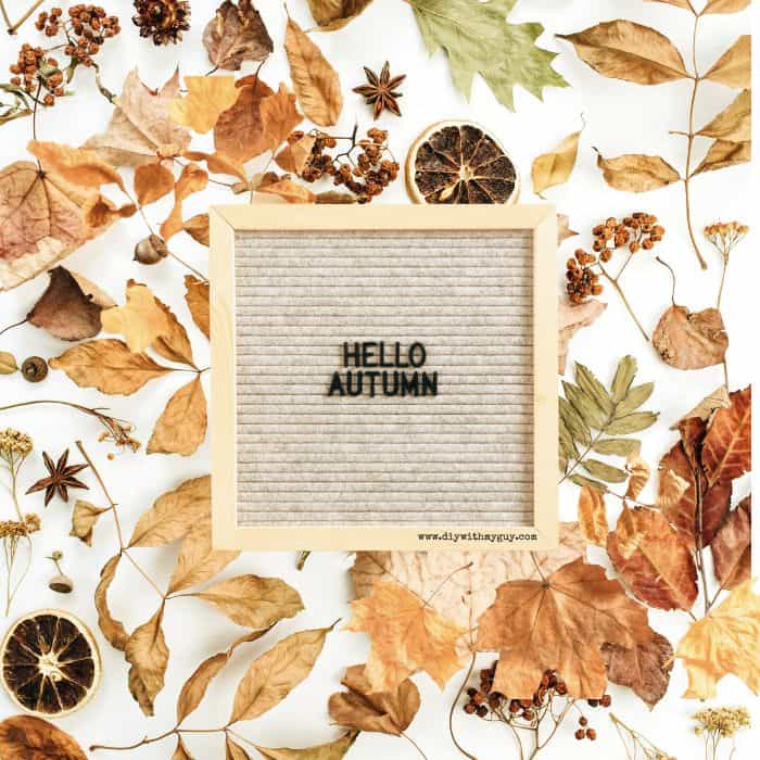 Autumn Letterboard quotes hello autumn