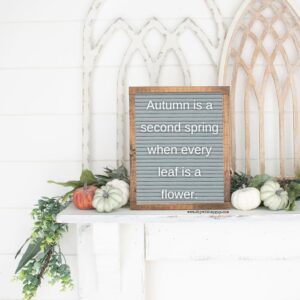 Fall Salutations 55+ Fall Letter Board Quotes (Cute & Funny Fall Sayings) - DIY With My Guy