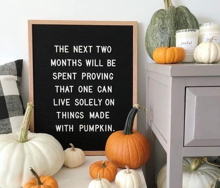 Letter board fall quotes funny