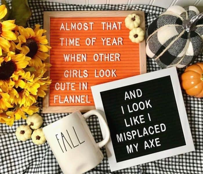 fall letter board quotes fun