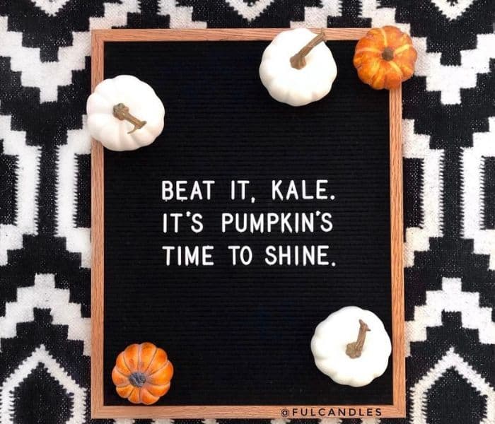 fall letter board quotes funny