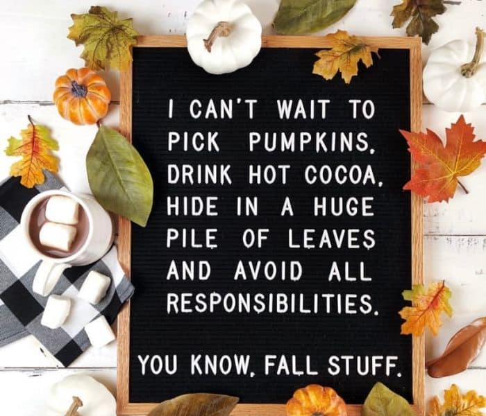 Funny fall letter board quotes
