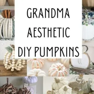 cropped-coast-grandma-aesthetic-pumpkins.jpg