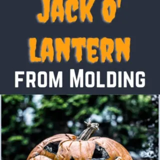 cropped-How-to-make-a-jack-olantern-last-longer.jpg