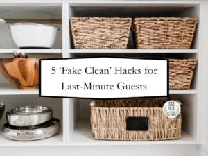 clean house fast for company